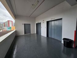 Tailee Industrial Building (D20), Factory #523210411